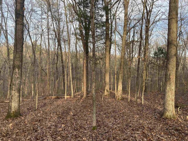 0 Bruton Branch