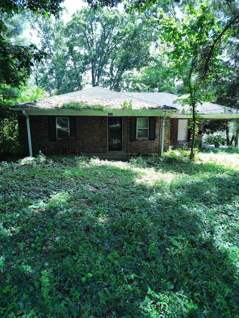 1663 Pisgah