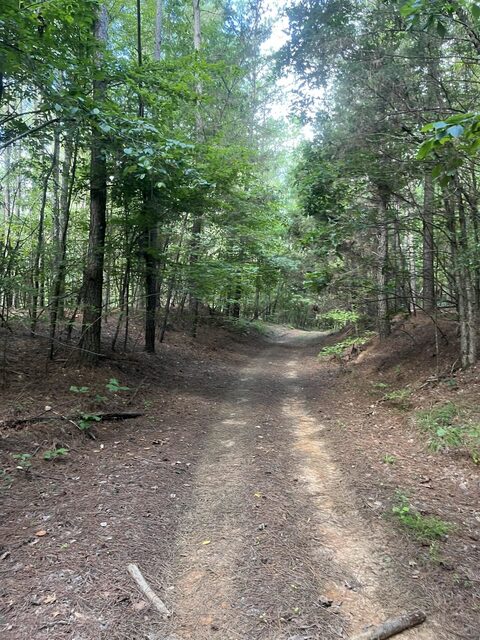 County Road 437