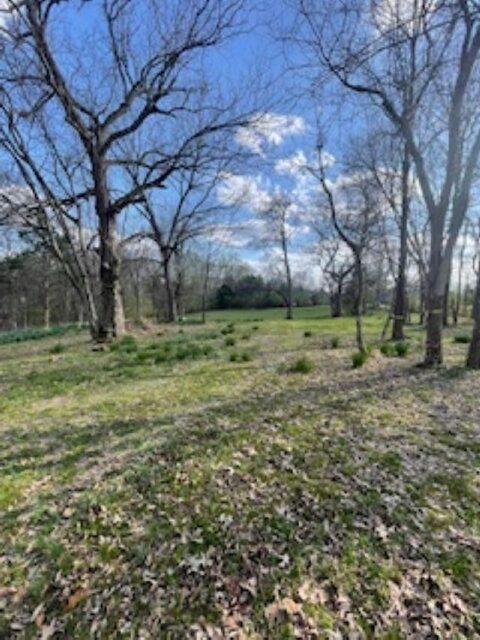 10485 Raleigh-Lagrange