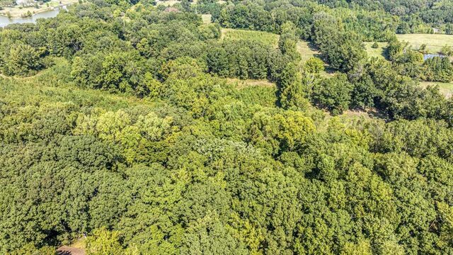 0 Willow Oak