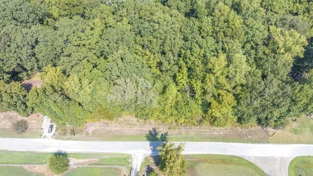 0 Willow Oak