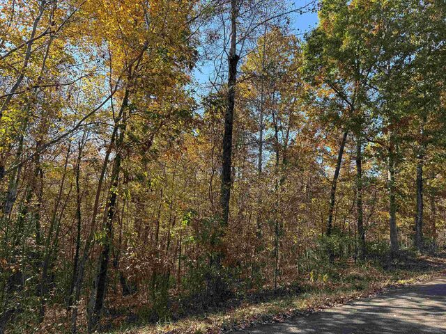 2 Woods Cliff