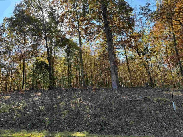 4 Woods Cliff