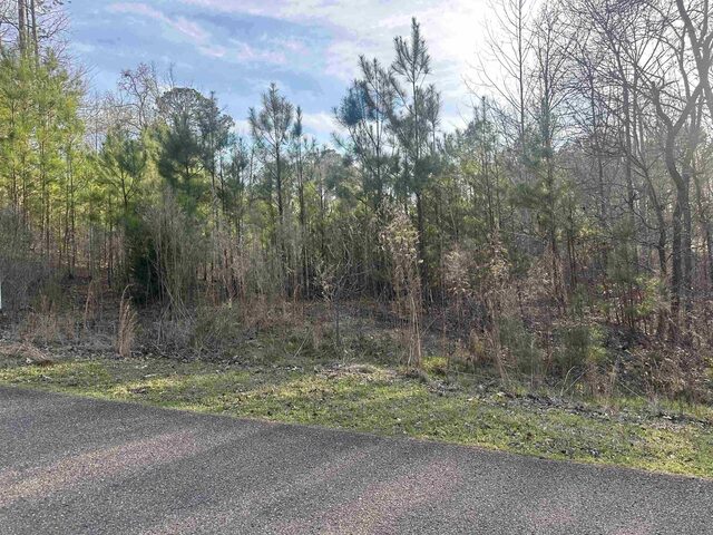 0 Shiloh Falls Court