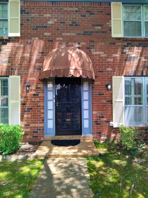 5955 Ponderosa Pine
