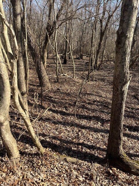 0 Greene County Ar 954