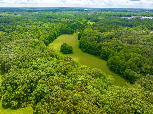 25 Acres Dogwood