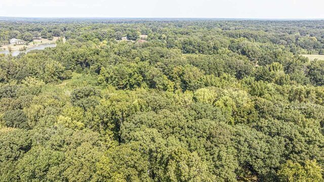 0 Willow Oak