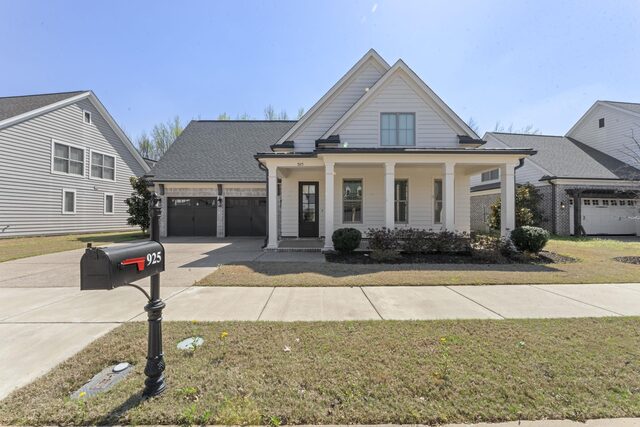 925 Cypress Vine
