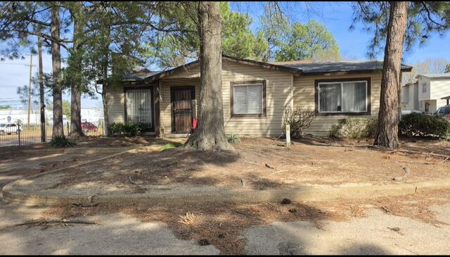 3606 Orange Blossom