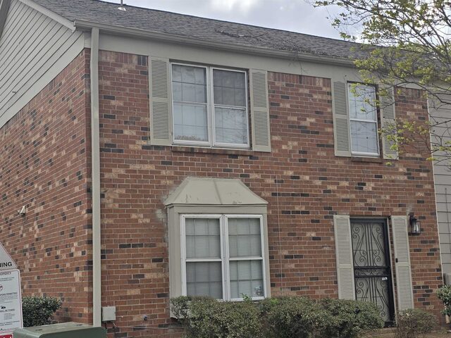 3173 Tulip Poplar