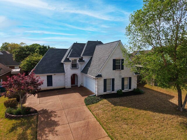 20 Willow Birch