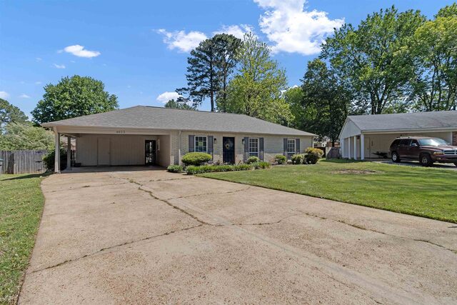 4022 Chinaberry