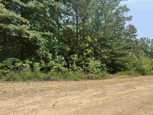 00 Younger Hollow Cemetery