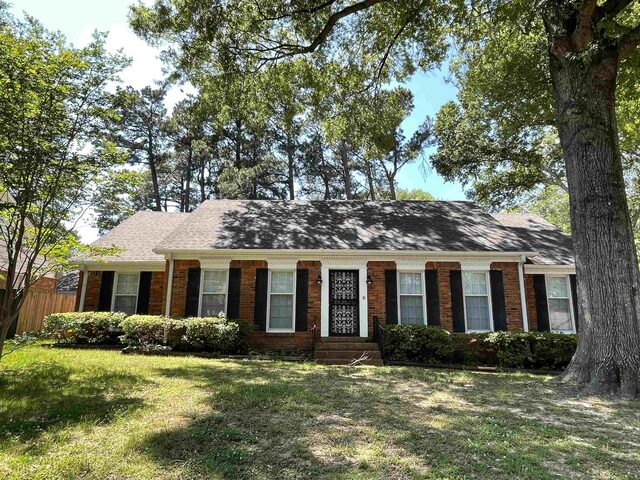 379 Mcelroy