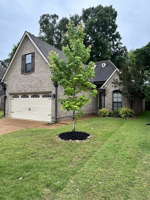 7303 Winterbrook