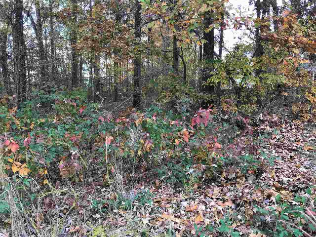 1 Countrywoods