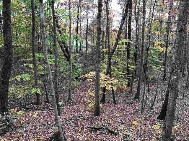 20 Country Woods