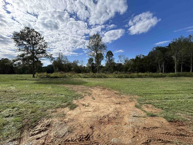 Lot 36 Cordova