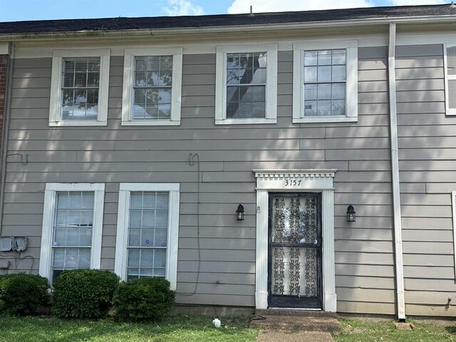 3157 Tulip Poplar