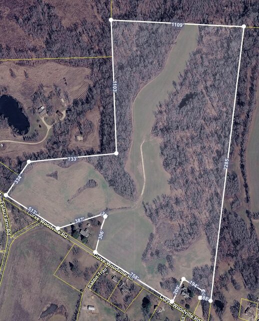 00 Curve Woodville