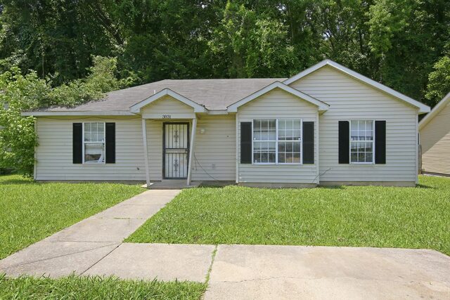 3831 Black Forrest