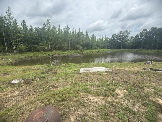 31880 Highway 69