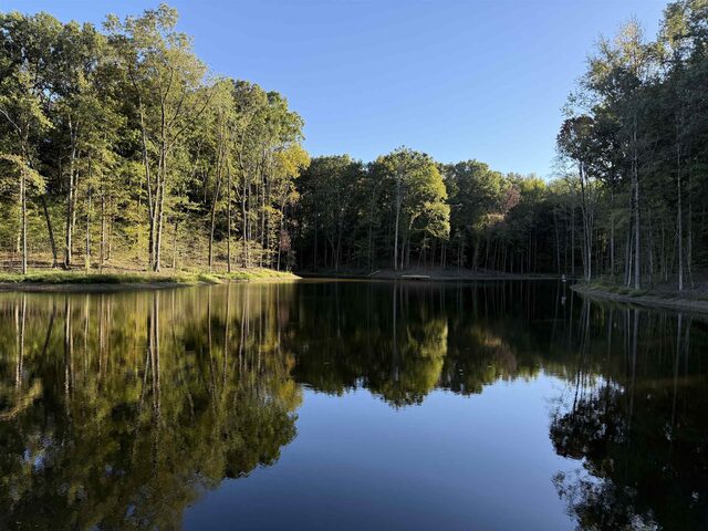 9171 Collierville-Arlington
