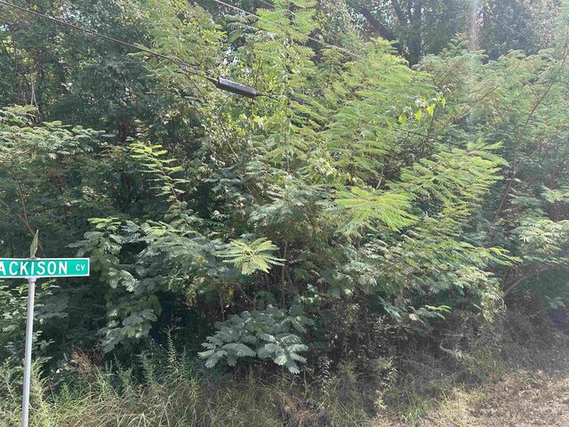 1362 Blackison