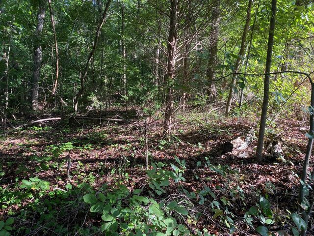 Country Woods