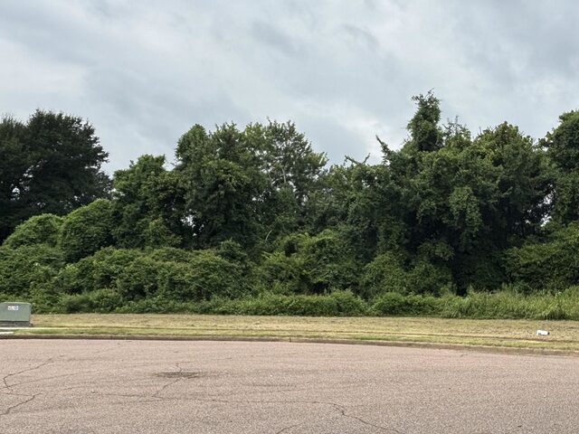 5033 Carterville