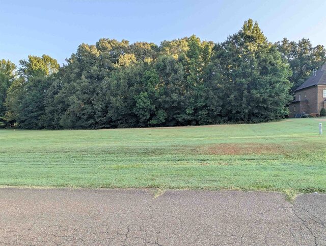 11888 Stable View