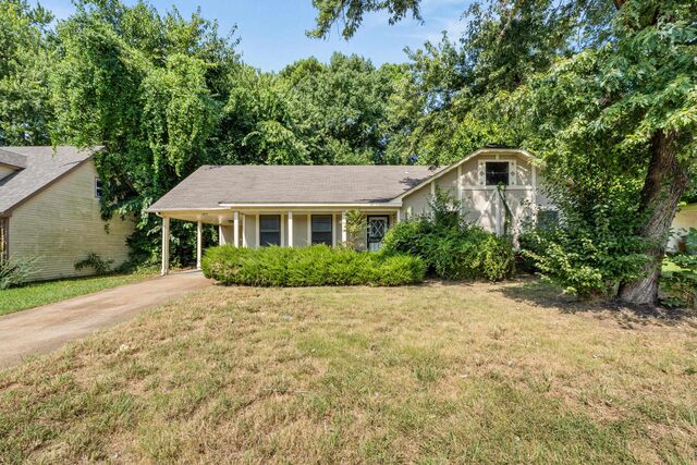 3505 Coleman