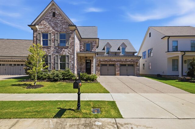 894 Cypress Vine