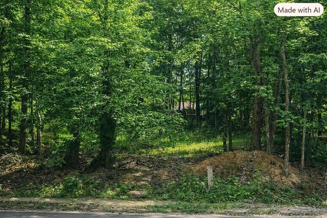 8215 Shady Fern