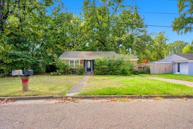 533 Burkman