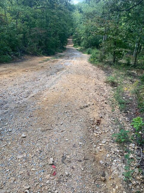 00 Wild Acres