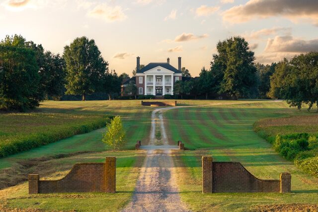803 Culbreath