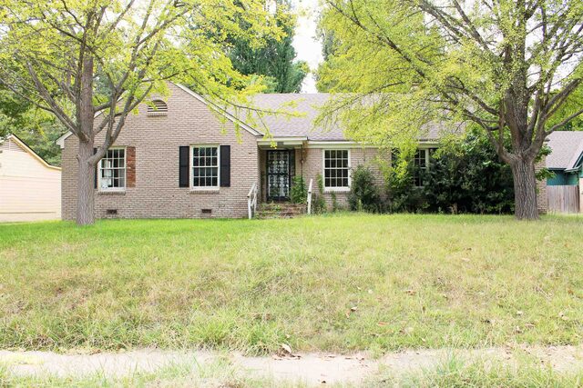 3909 Birchleaf